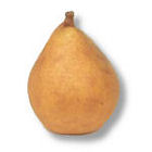 fruit